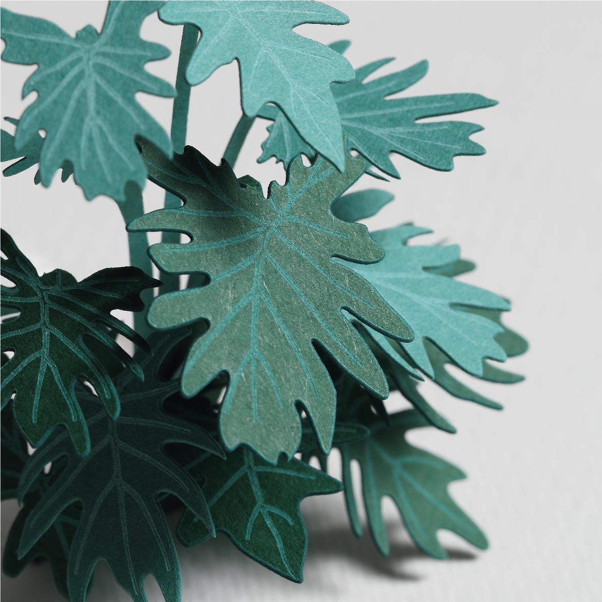 Philodendron Xanadu - FingerART Desktop Forest Sticker (605026)