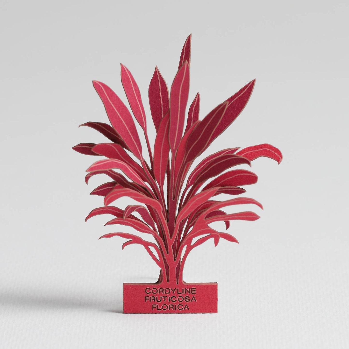 Cordyline Fruticosa Florica - FingerART Desktop Forest Sticker (605029)