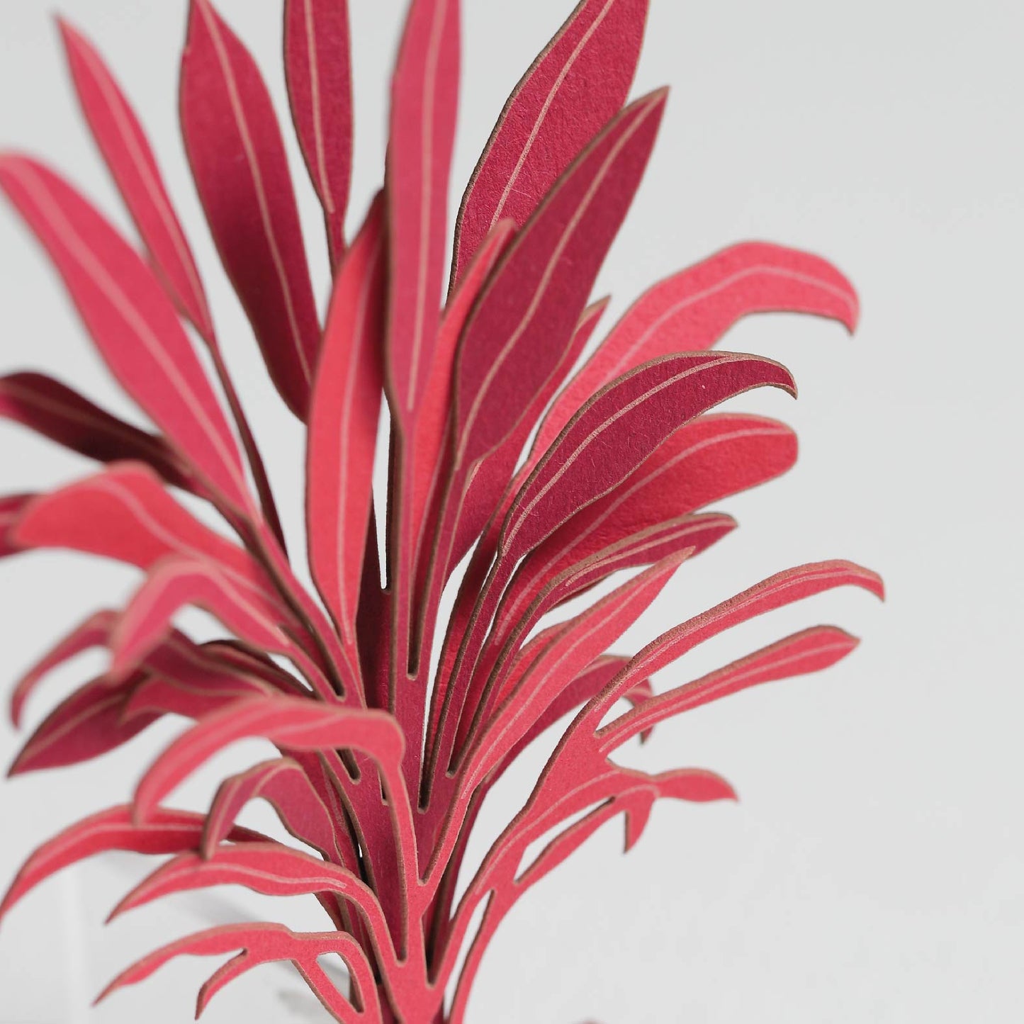 Cordyline Fruticosa Florica - FingerART Desktop Forest Sticker (605029)