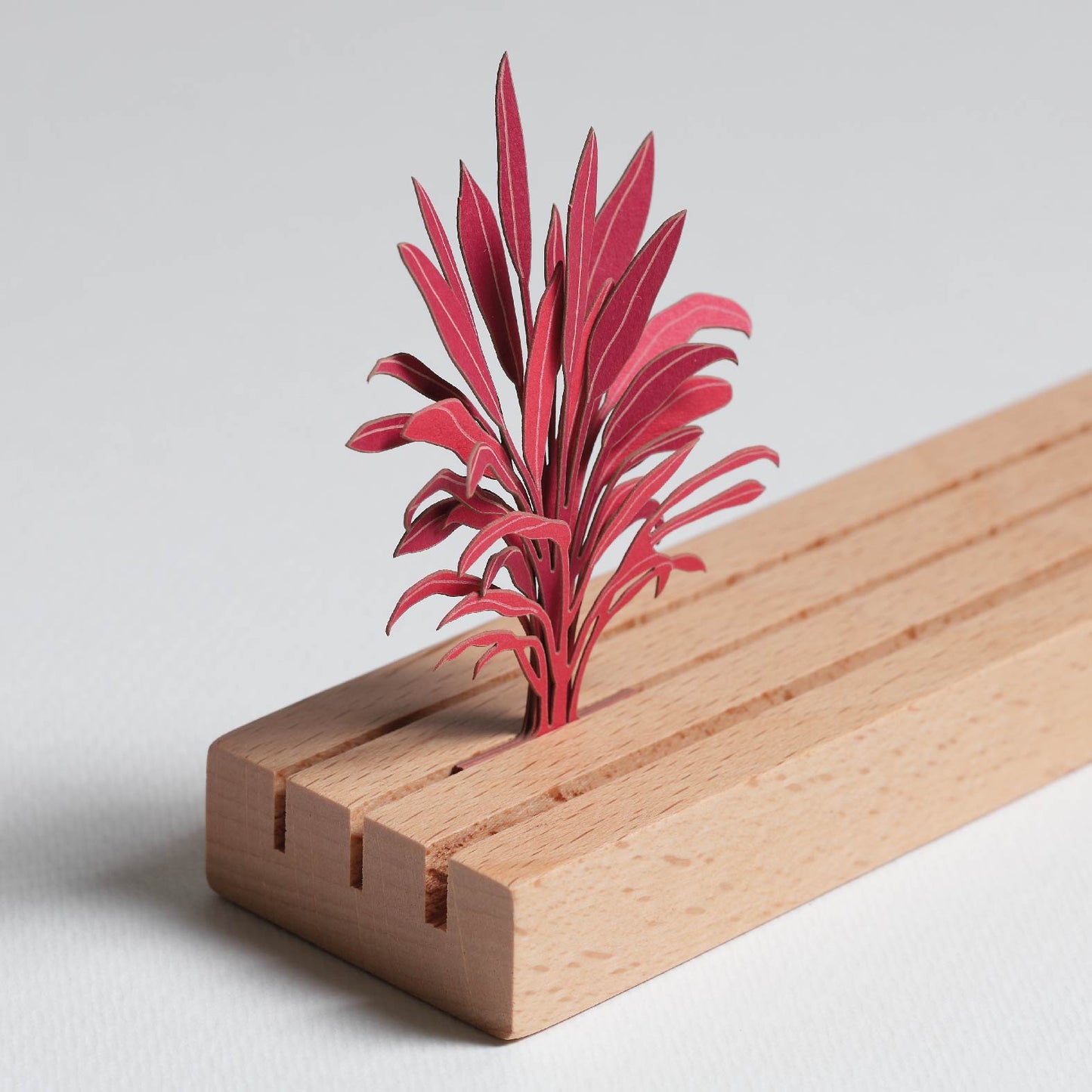 Cordyline Fruticosa Florica - FingerART Desktop Forest Sticker (605029)