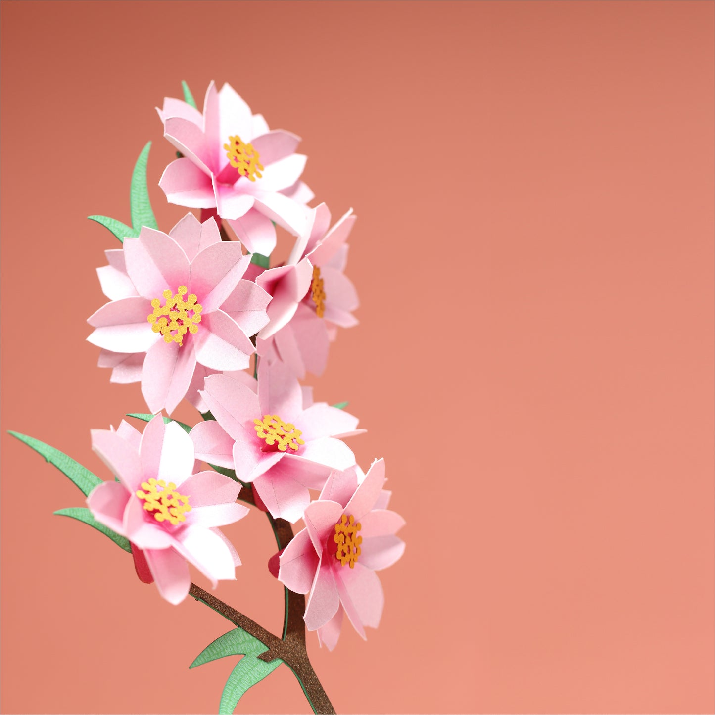 Cherry Blossom - POSTalk Light Model (LM-51)