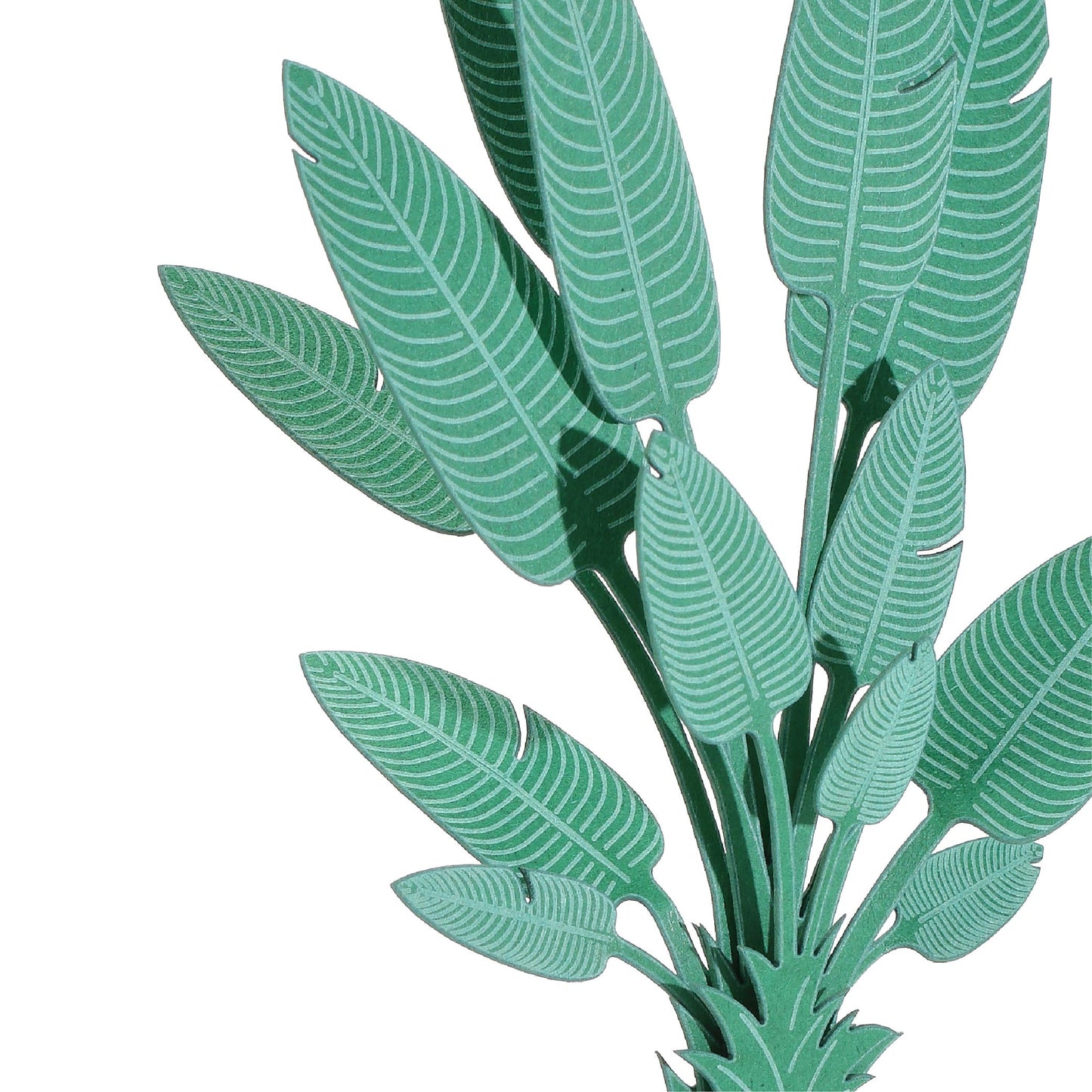 Bird of Paradise Plant (Strelitzia reginae) - FingerART Desktop Forest Sticker (605007)