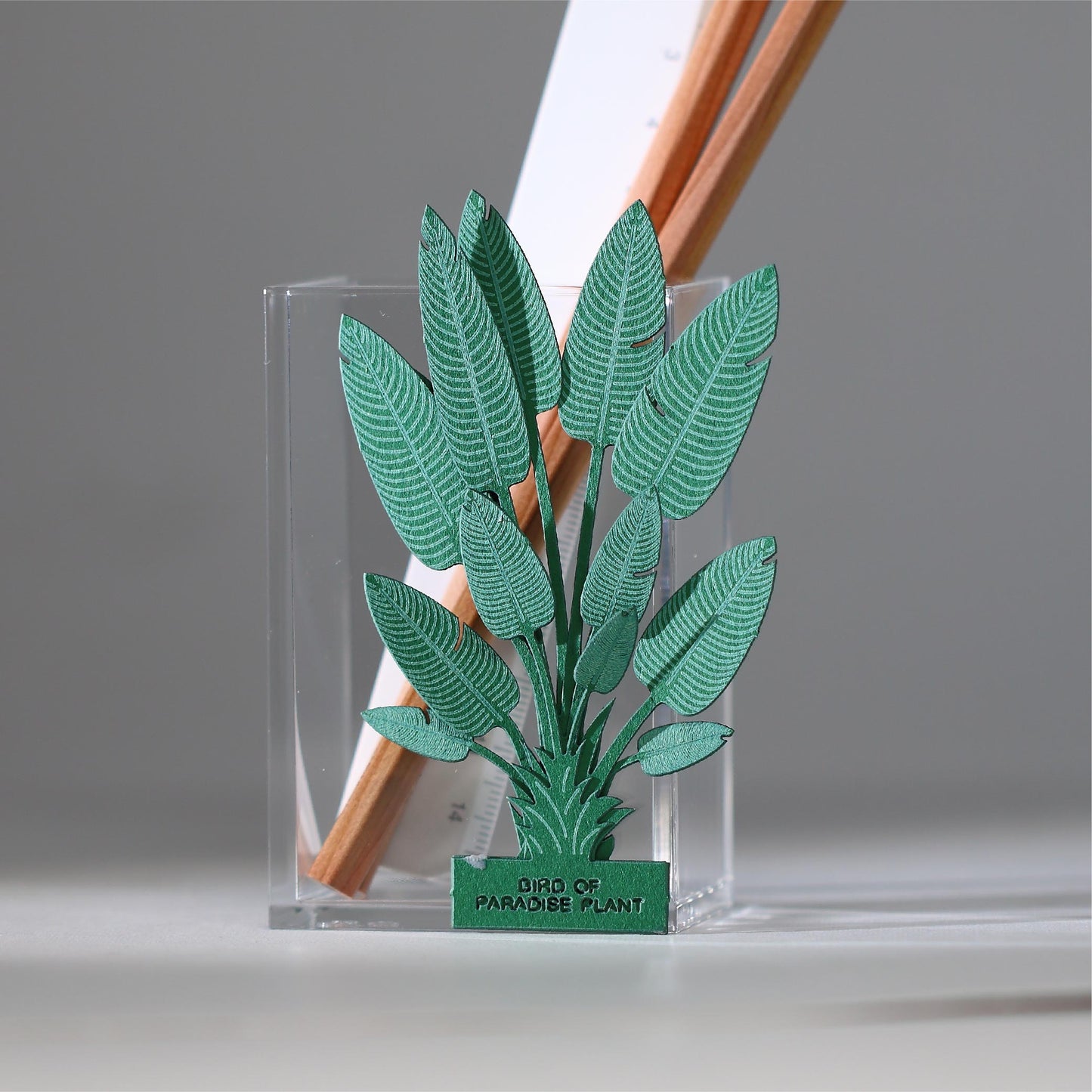 Bird of Paradise Plant (Strelitzia reginae) - FingerART Desktop Forest Sticker (605007)