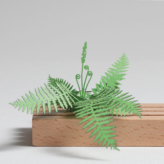 Cinnamon Fern (Osmunda cinnamimea) - FingerART Desktop Forest Sticker (605002)
