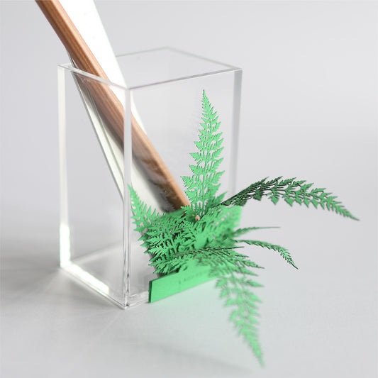 Lady Fern (Athyrium filix-femina) - FingerART Desktop Forest Sticker (605004)