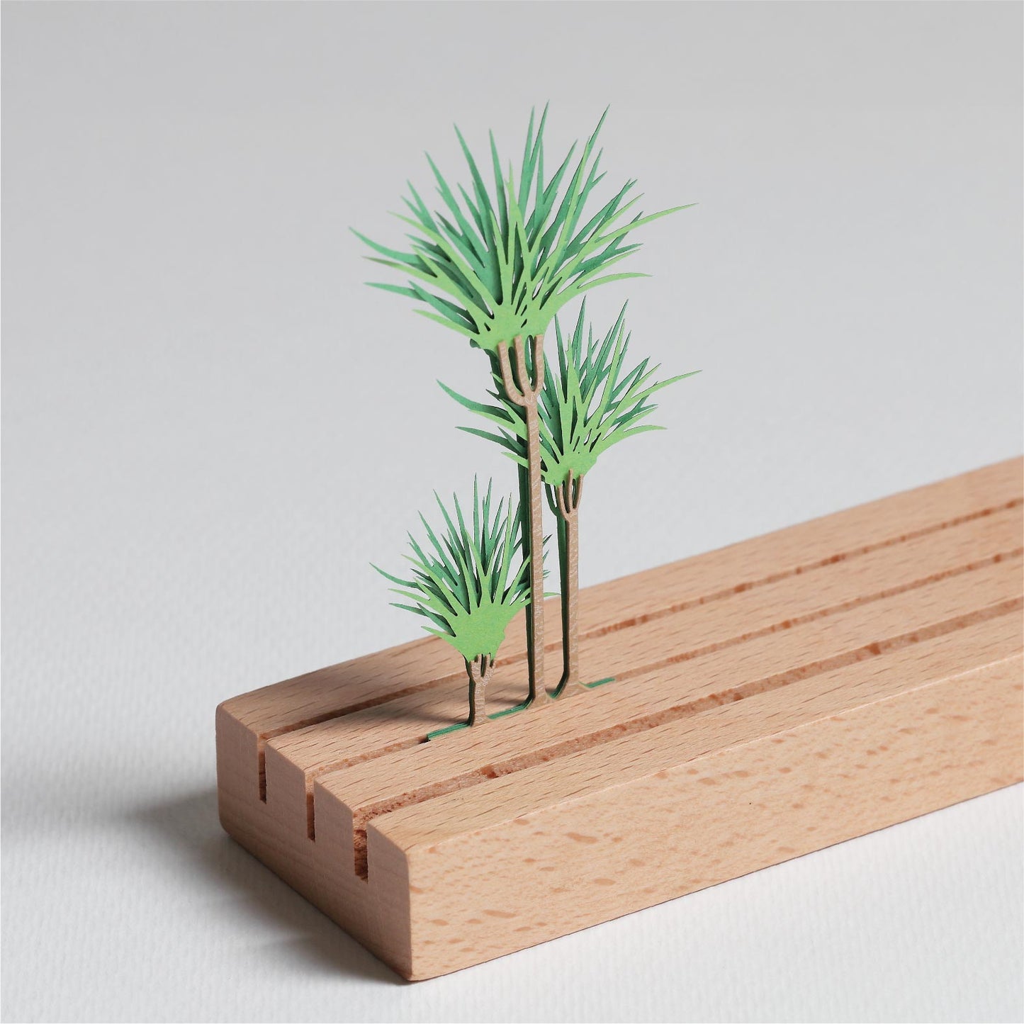 Dracaena marginata - FingerART Desktop Forest Sticker (605010)