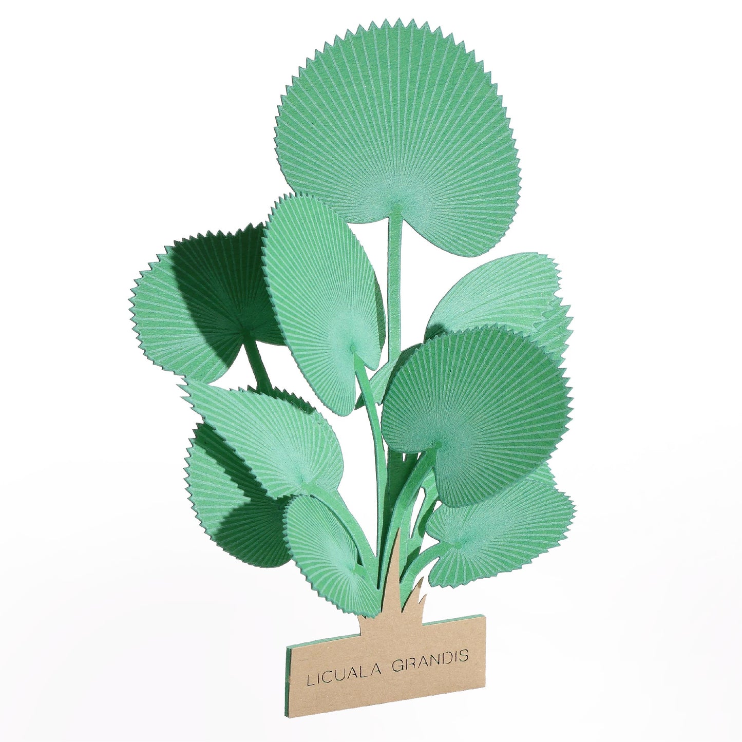 Licuala Grandis - FingerART Desktop Forest Sticker (605019)
